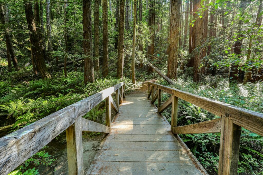 clear path